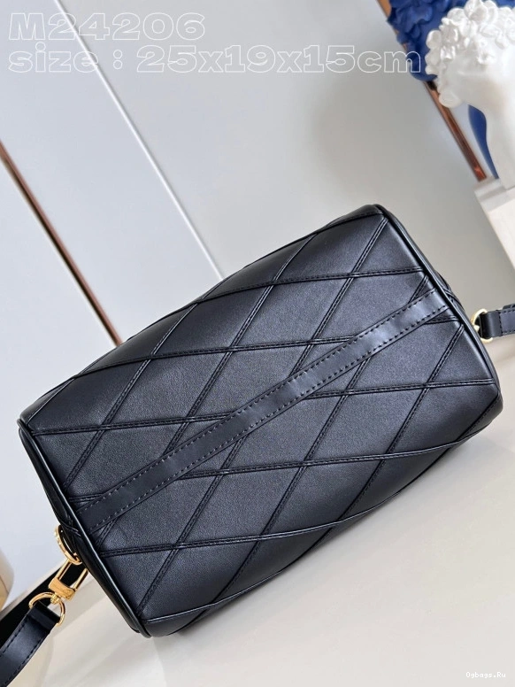 25 Vuitton SPEEDY Louis 0324